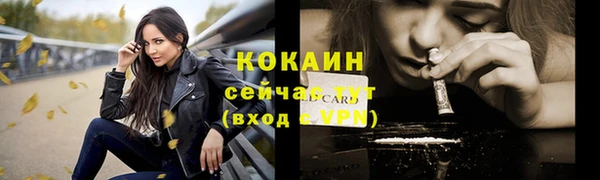 СК Горняк