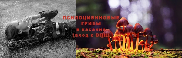 СК Горняк