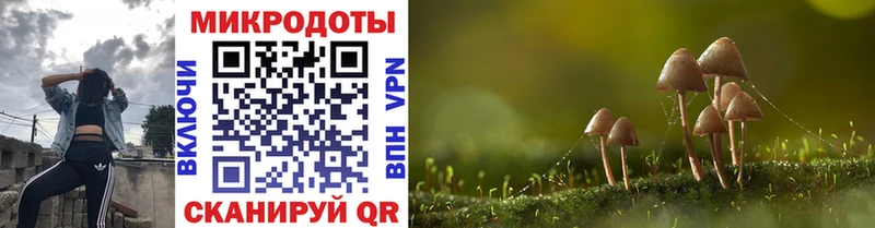 Купить закладки  Бугуруслан  Псилоцибиновые грибы мухоморы 